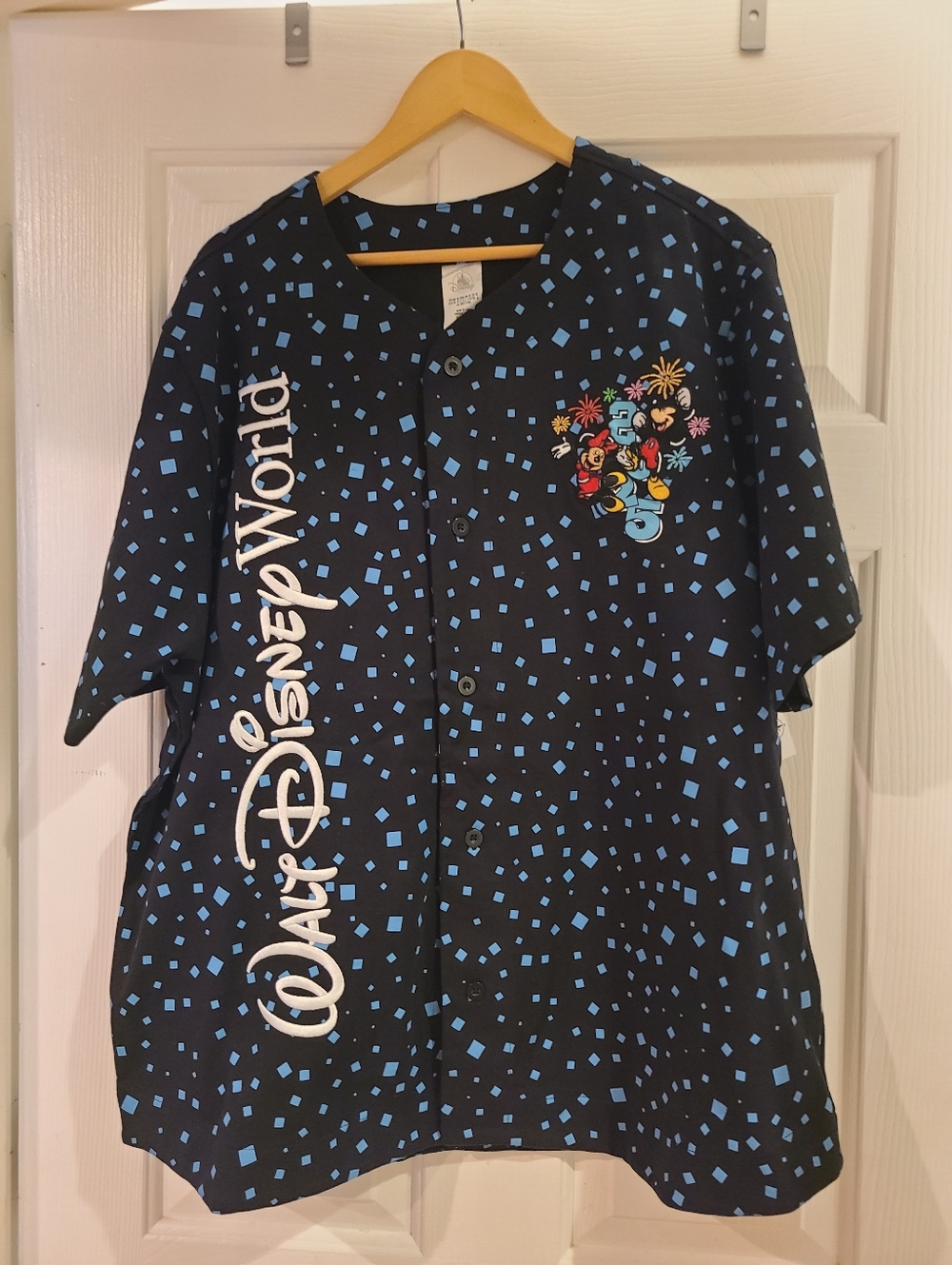 NEW Disney Parks 2025 Mickey and Friends 2025 Button Down - Size XL